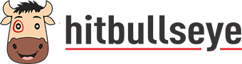 Hitbullseye Logo